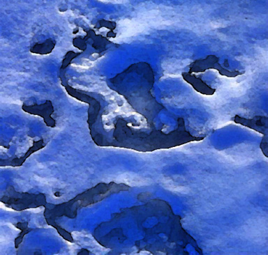 Arctic Image 12C