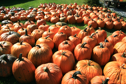 Great Pumpkins