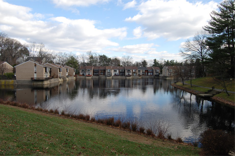 New Mark Commons Lake (View #1)