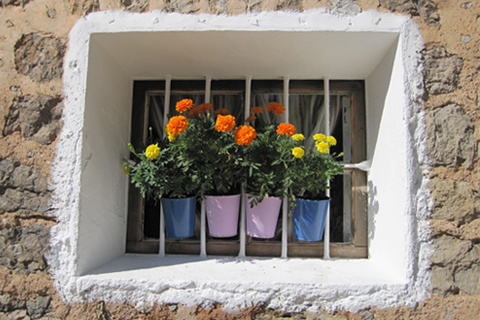 Flowers in village window